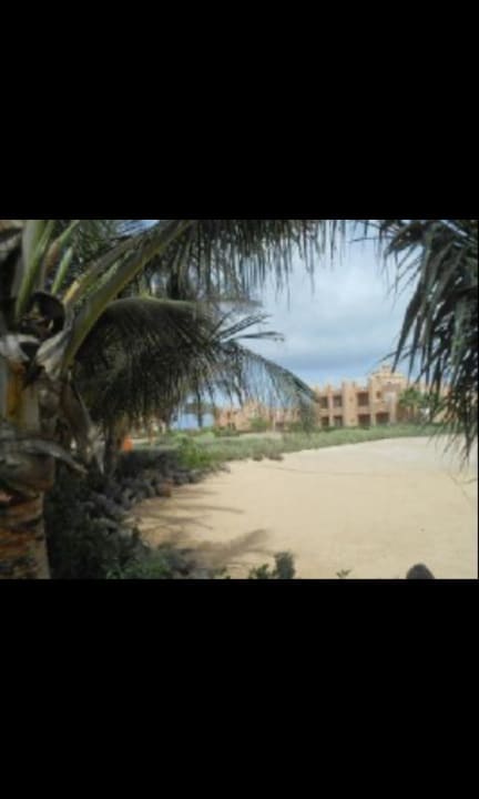 Blick durch Palmen auf das Hotel Hotel Riu Cabo Verde