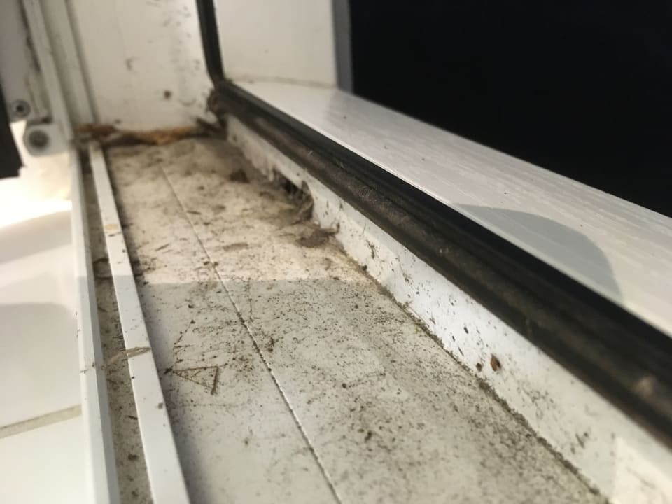 Zimmer Roompot Ferienpark Boomhiemke