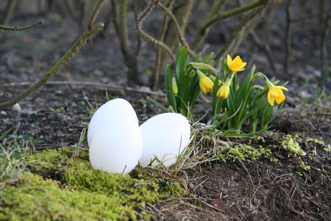 Osterdeko Apartmenthotel am Leuchtturm
