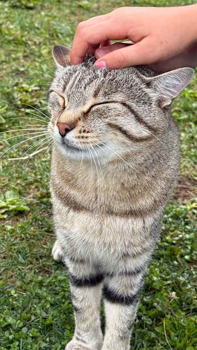 Gartenanlage La Majun - Fornellahof