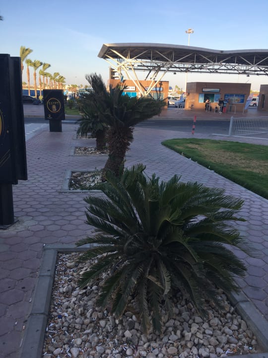 Gartenanlage Hotel Caves Beach Resort (Adults Only)