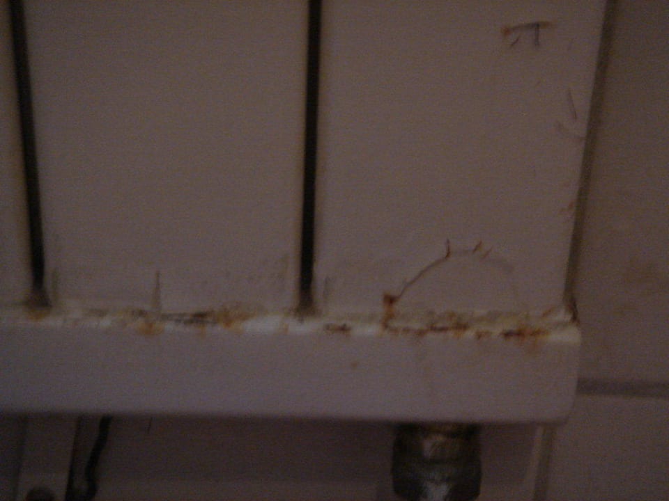 Rostige Heizung im Bad Center Parcs De Eemhof