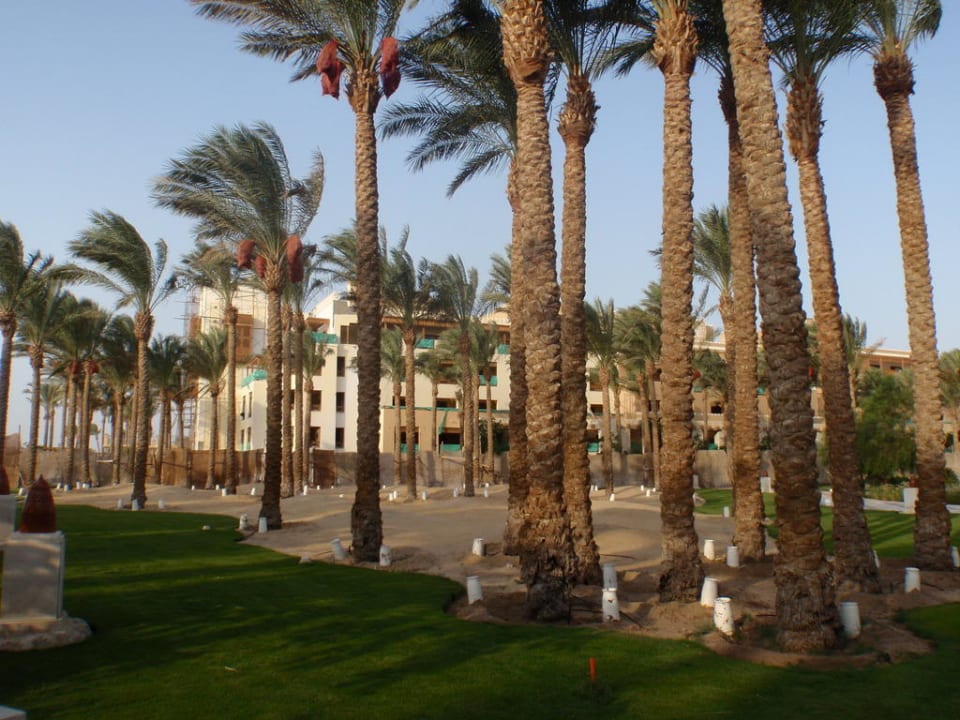 Zimmer mit direkter Strandlage Makadi Spa - Adults only