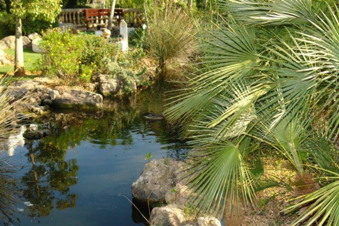 Ogród Protur Safari Park Aparthotel
