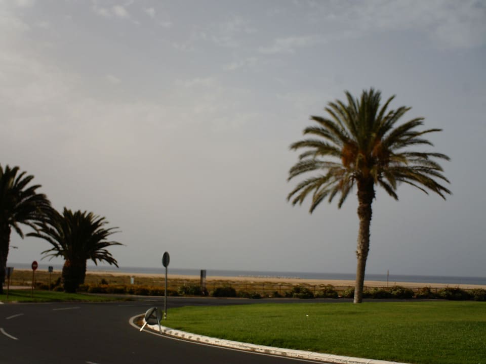 Před hotelem R2 BUGANVILLA Hotel & Spa