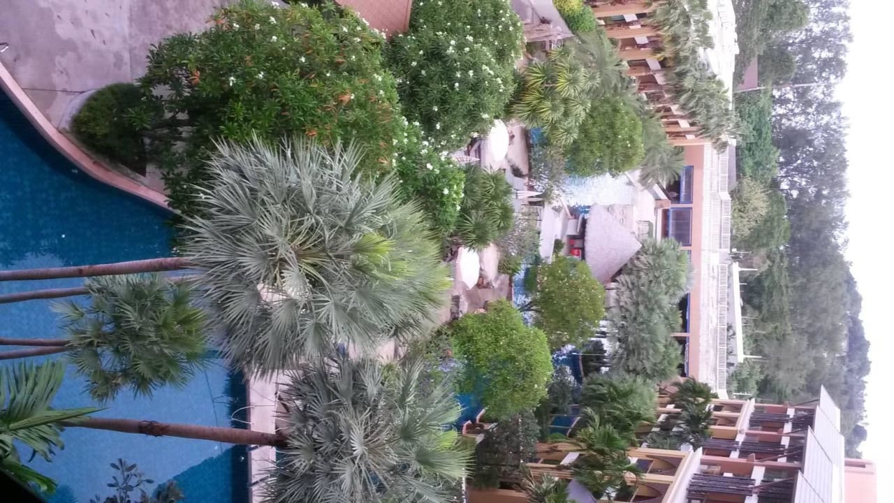 Ausblick auf Pool Hotel Rawai Palm Beach Resort
