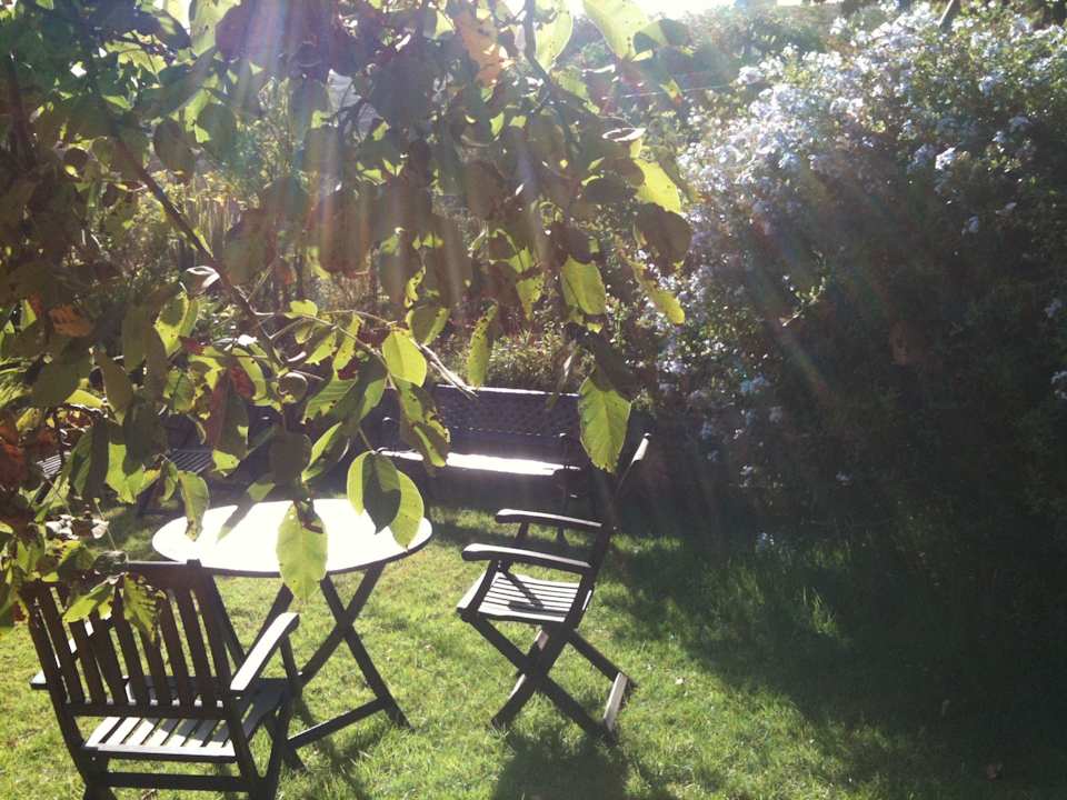 Rincón del jardín Finca Las Llanadas