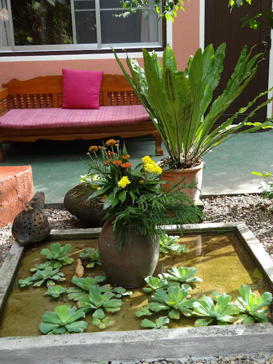 Schön für`s Auge Joy's House, Guesthouse Chiang Mai