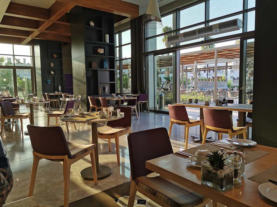 Gastro Acanthus Cennet Barut Collection