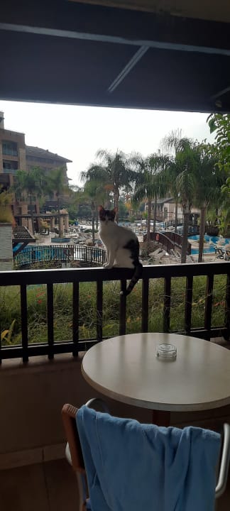 Zimmer Sunis Kumköy Beach Resort Hotel & Spa