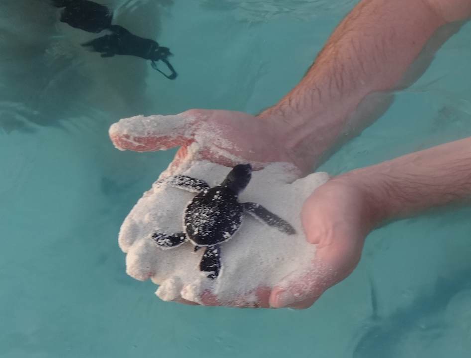 Sport & Freizeit NH Collection Maldives Reethi Resort