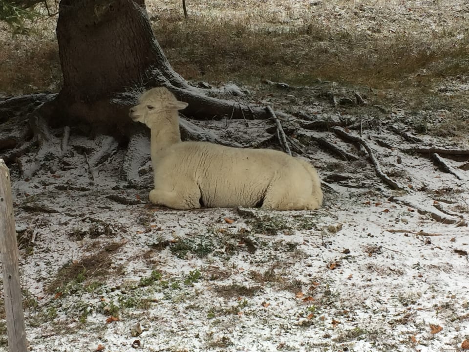 Sonstiges Oberjoch - Familux Resort