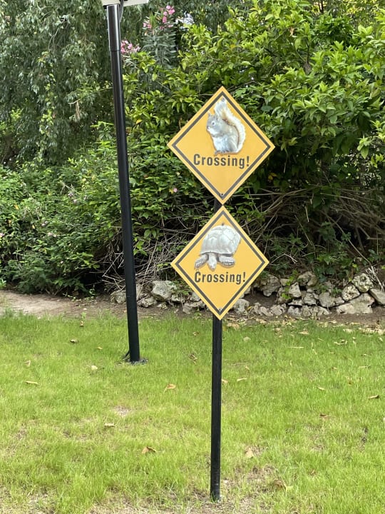 Gartenanlage Asteria Family Belek