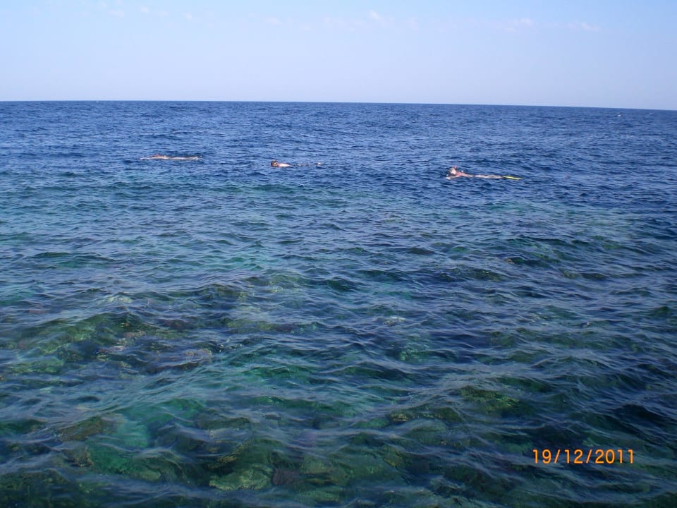 Kampfschnorchler draussen TUI MAGIC LIFE Kalawy