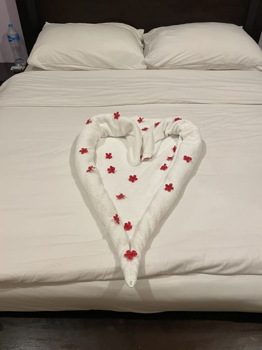 Zimmer JAZ Neo Saraya Palms