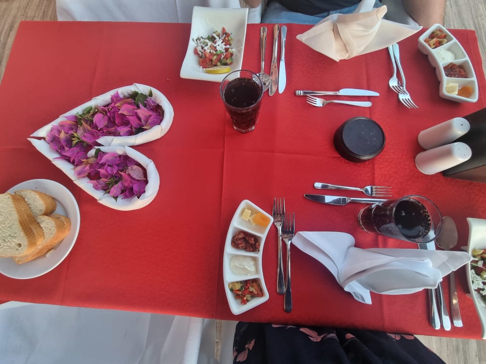 Gastro Calimera Hane Garden