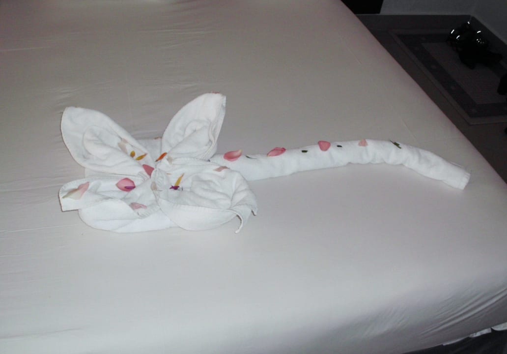 Deko Stella Garden Resort & Spa, Makadi Bay