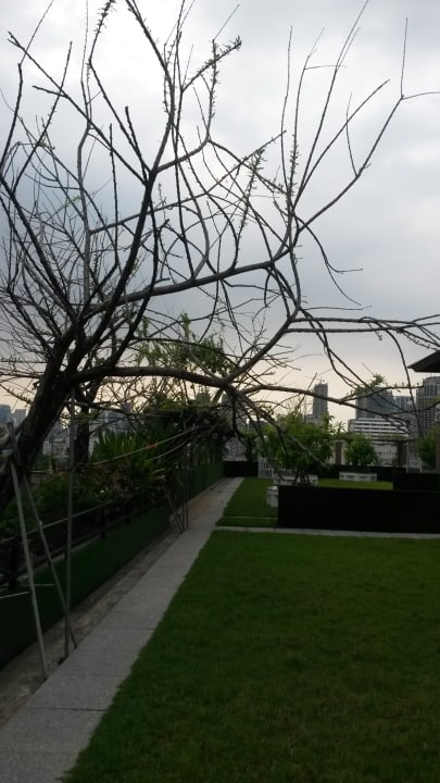 Pool Hope Land Hotel & Residence Sukhumvit 8