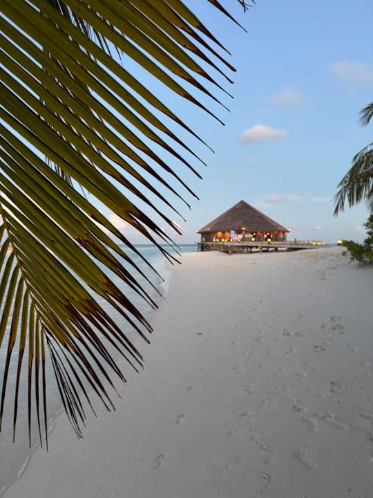 Außenansicht Vilamendhoo Island Resort & Spa