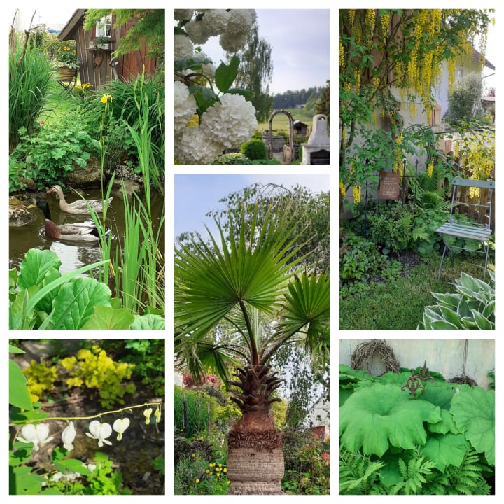 Gartenanlage Ferienwohnung Apfelhof Maurer