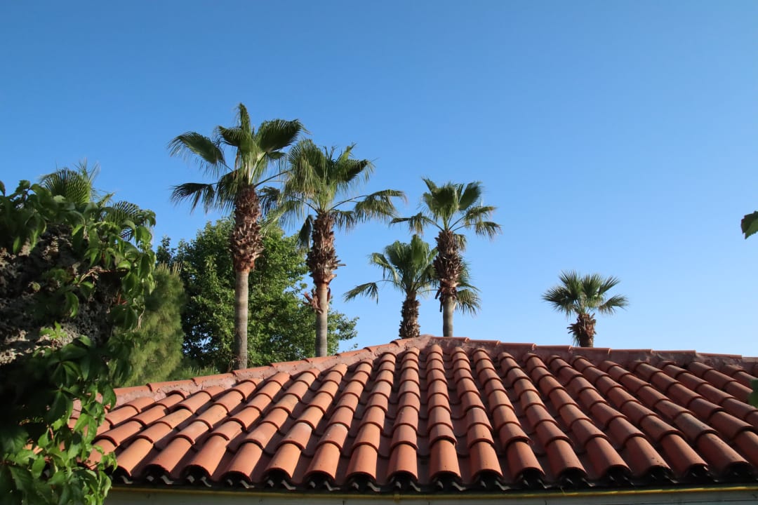 Sonstiges Trendy Side Beach Hotel - Adults only