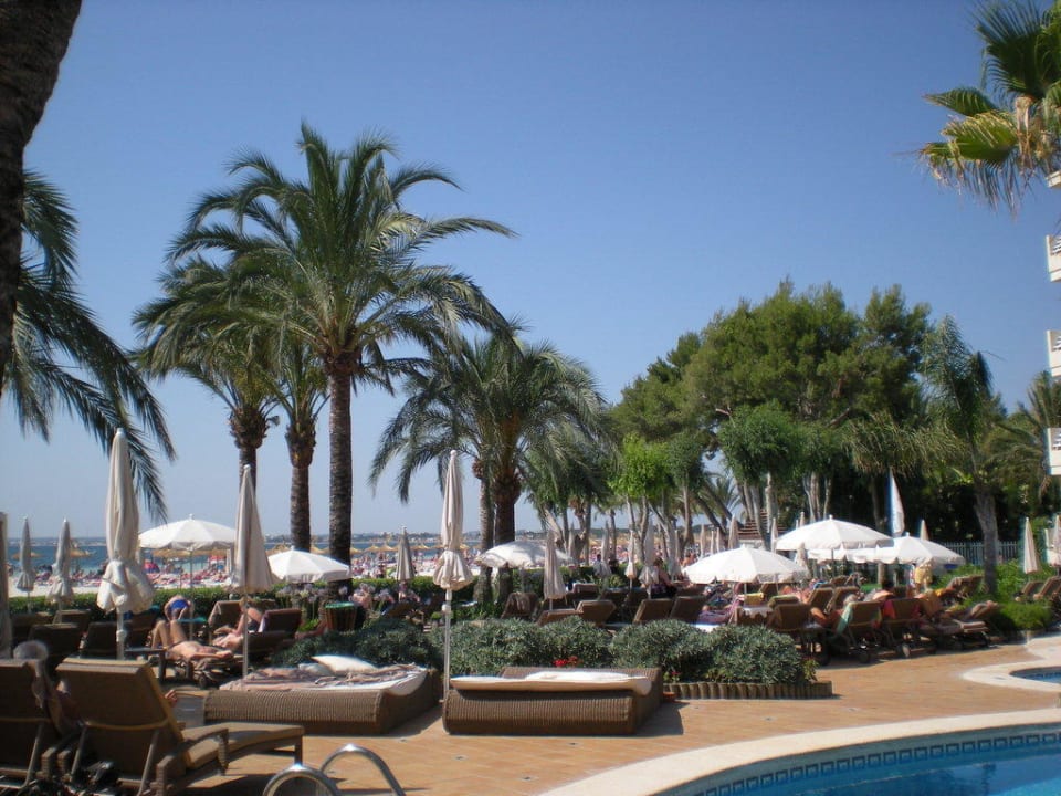 Tolle Poolliegen VIVA Golf - Adults only 18+