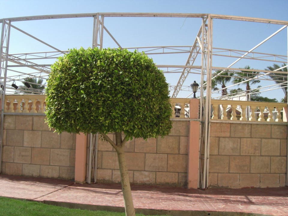 Amphitheater Beach Albatros Resort