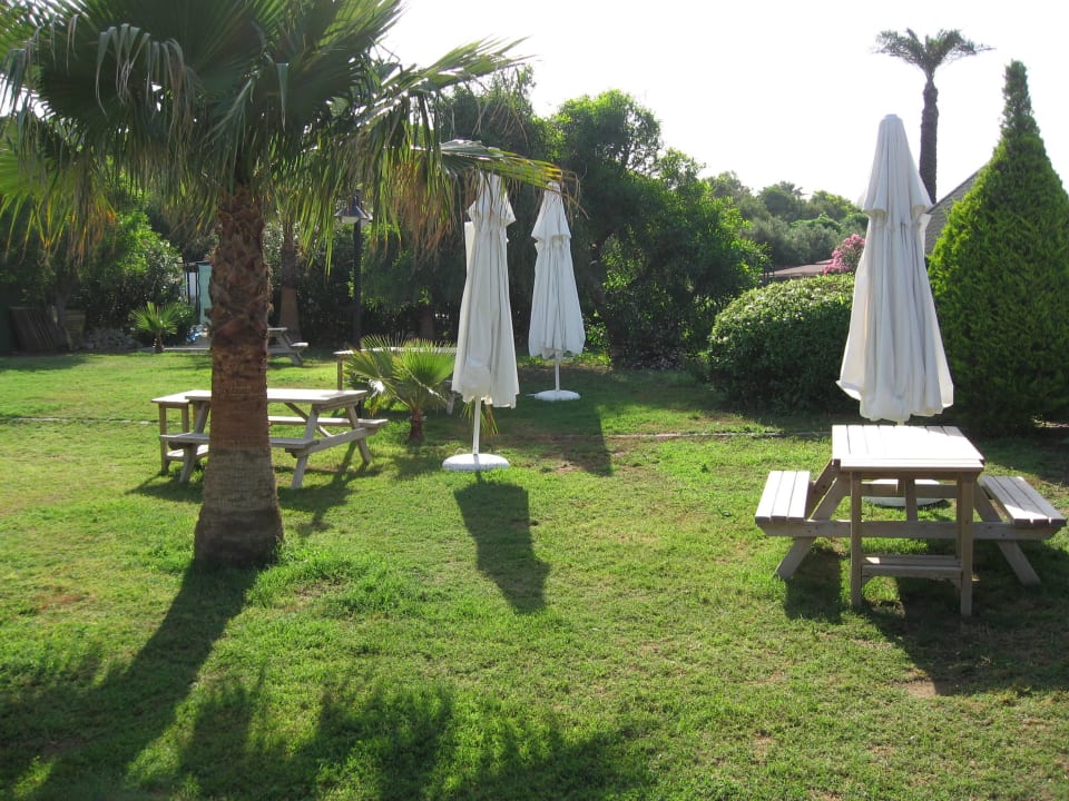 Grillen kommt gut an Royal Atlantis Beach Hotel