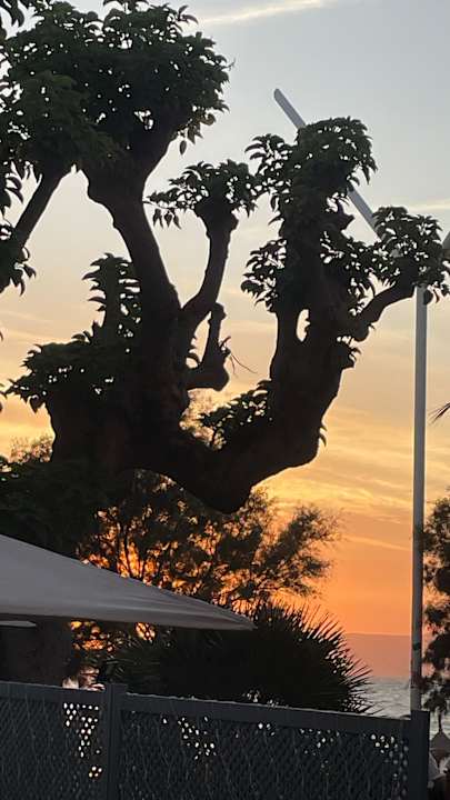 Ausblick allsun Hotel Marena Beach