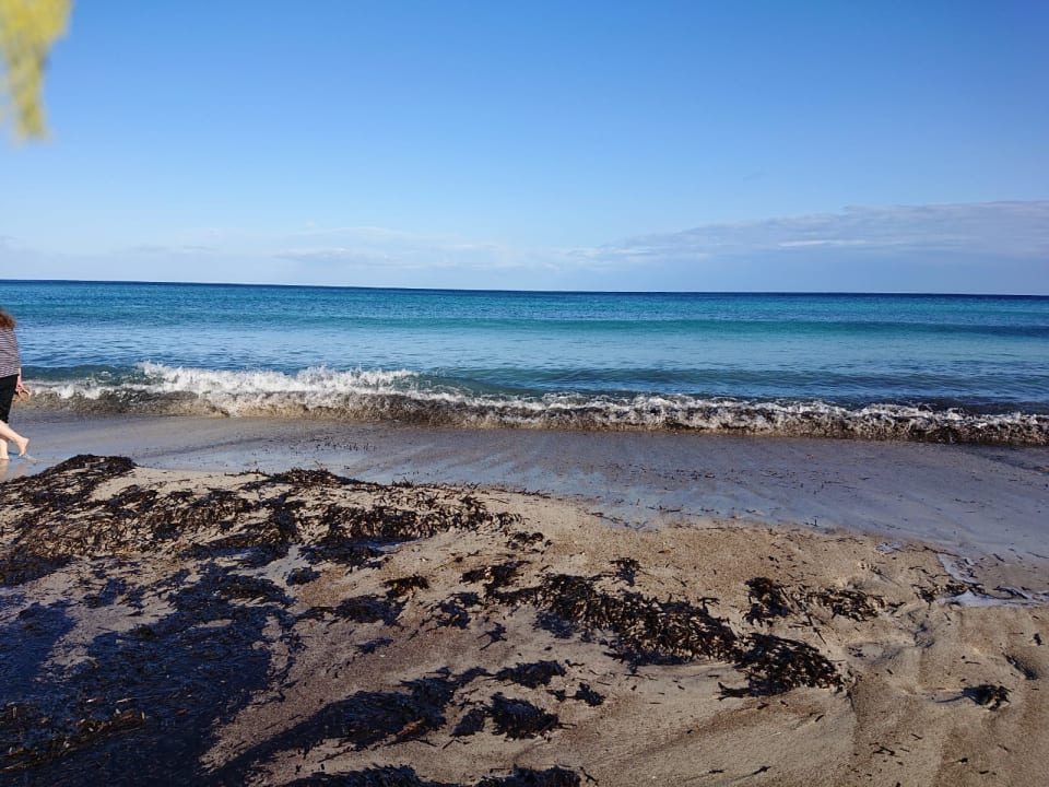 Strand allsun Hotel Borneo - Adults only