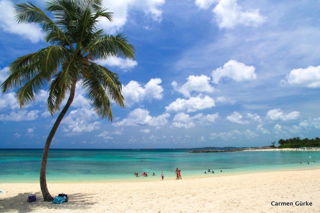 Atlantis Resort The Beach at Atlantis