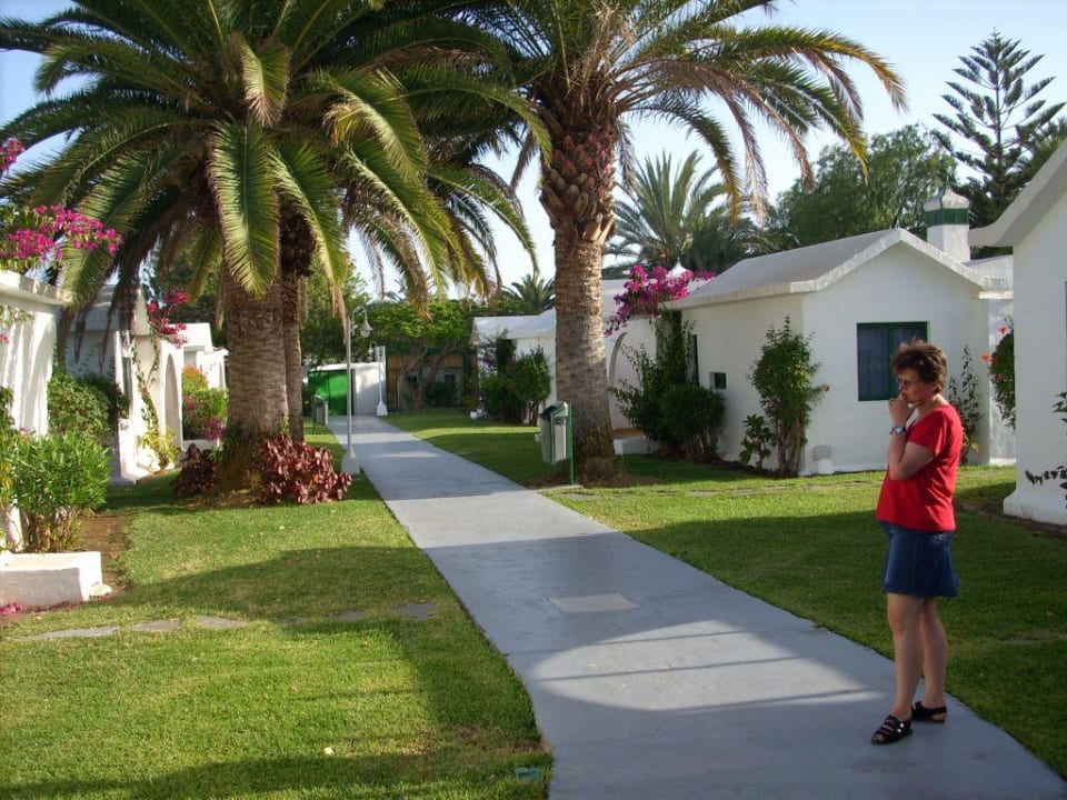 Rundweg zu den Bungalows Canary Garden Club