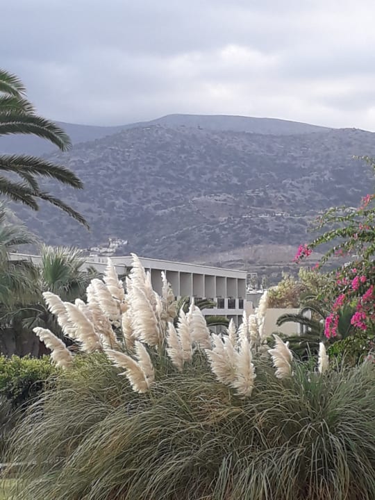 Ausblick allsun Hotel Malia Beach