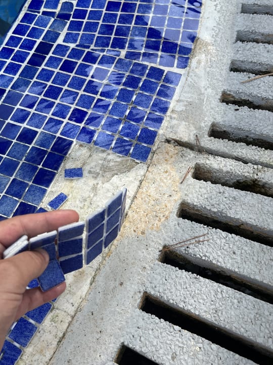 Pool Ona Palmira Paguera