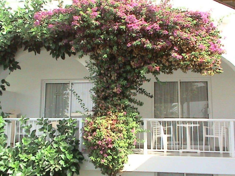 Hotelzimmer Relaxia Olivina