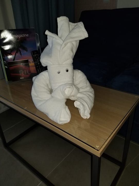 Zimmer Hotel Riu Palace Palmeras