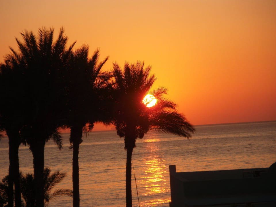 Sonnenaufgang 5:25h Renaissance Sharm El Sheikh Golden View Beach Resort