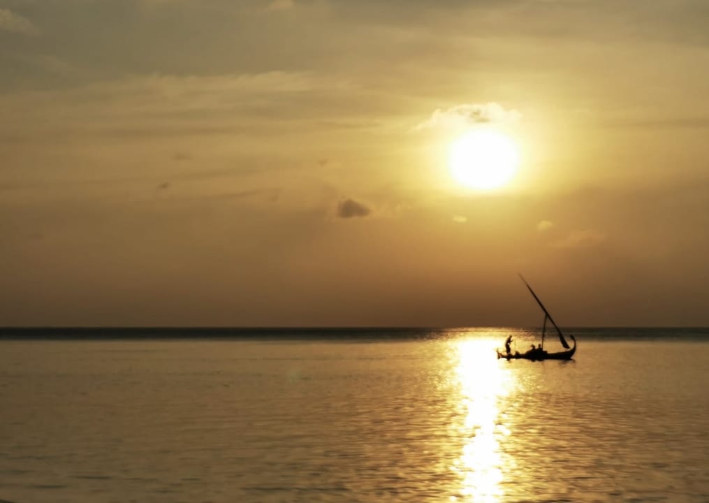 Ausblick Summer Island Maldives