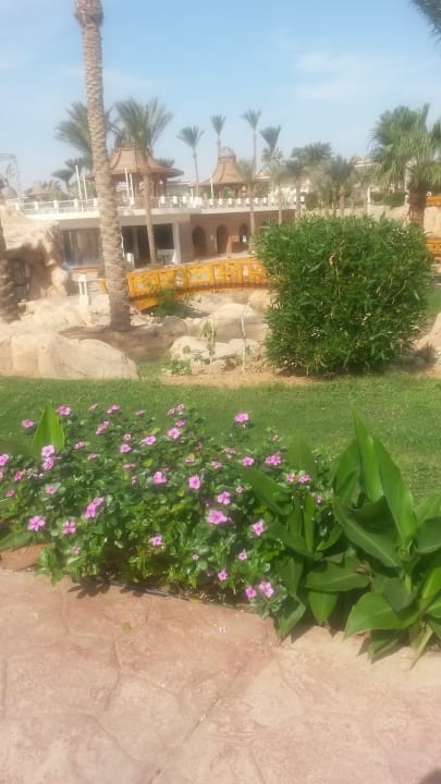 Gartenanlage Parrotel Beach Resort