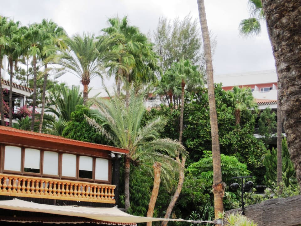Restaurant vom Pool Hotel Parque Tropical
