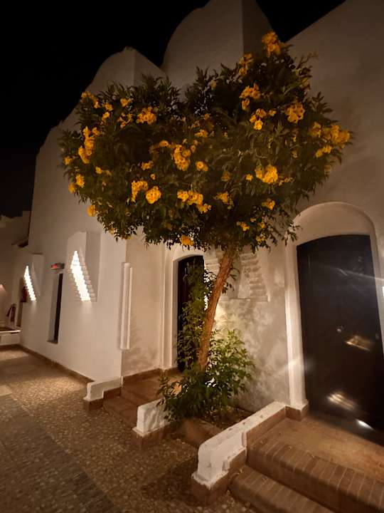 Ausblick Arabella Azur Resort