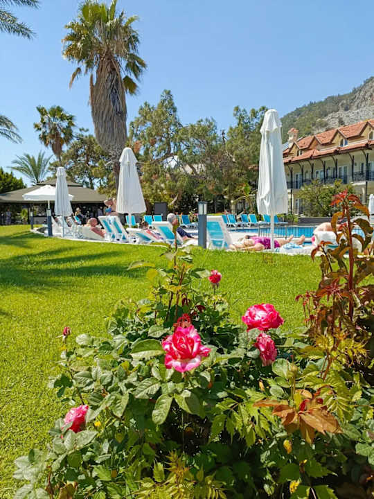 Gartenanlage Hotel Grand Ring