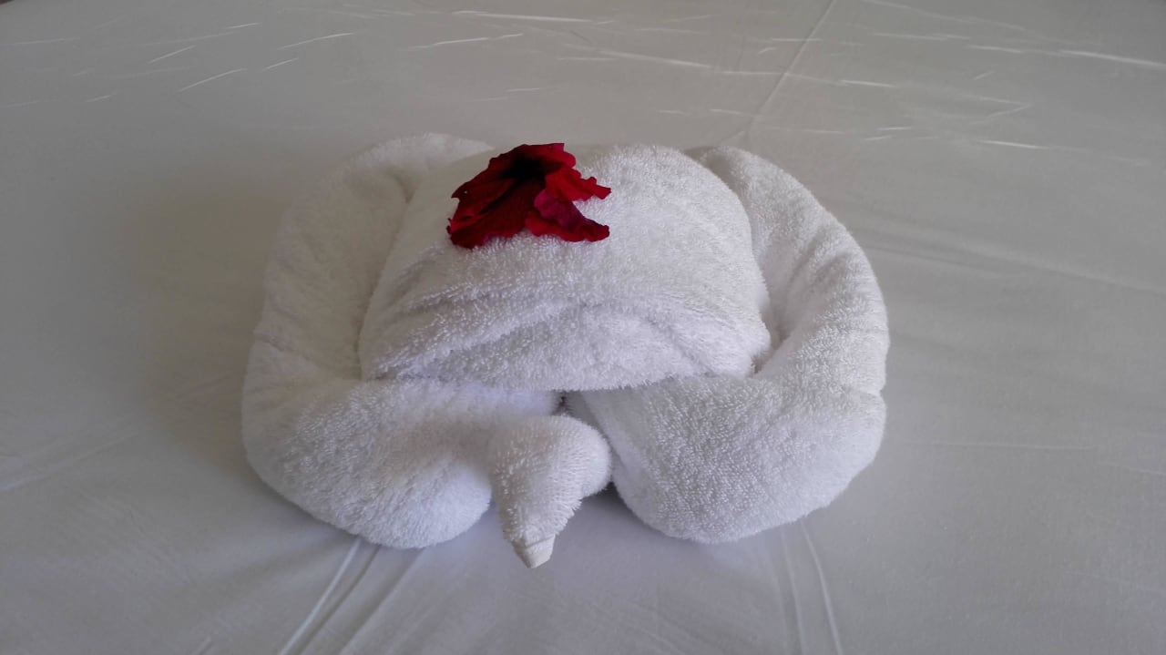 Jaz Aquaviva Jaz Aquaviva