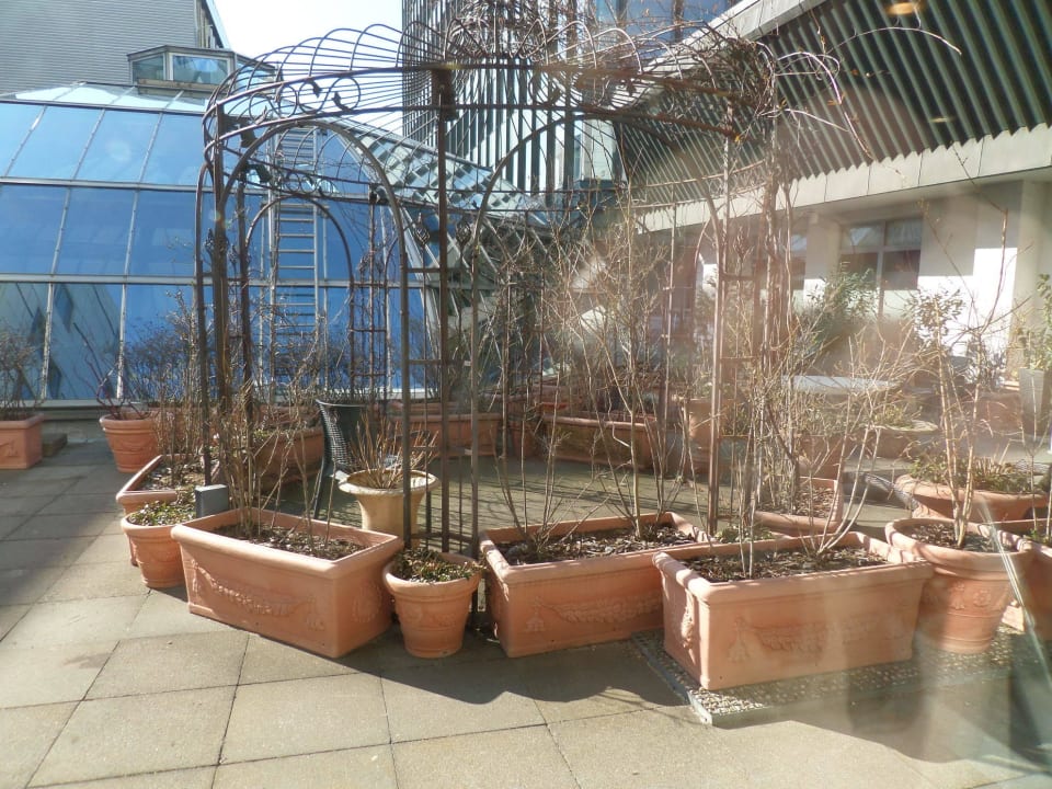 Aussicht zum (ungepflegten) Saunagarten Hotel Palace Berlin