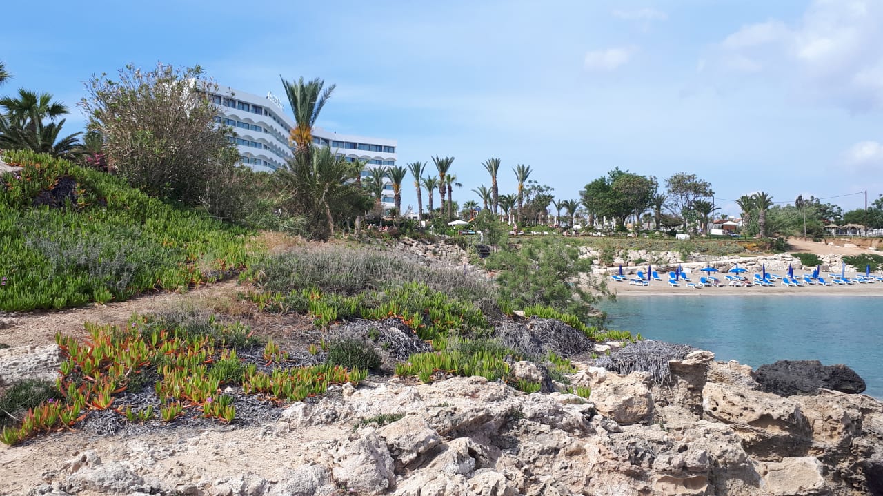 Strand Crystal Springs Beach Hotel