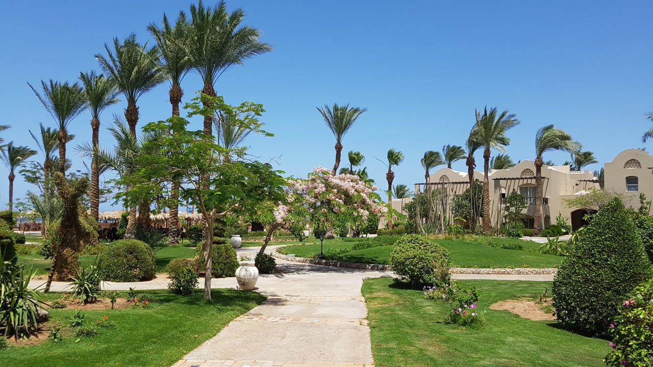 Gartenanlage Jaz Makadi Oasis Resort