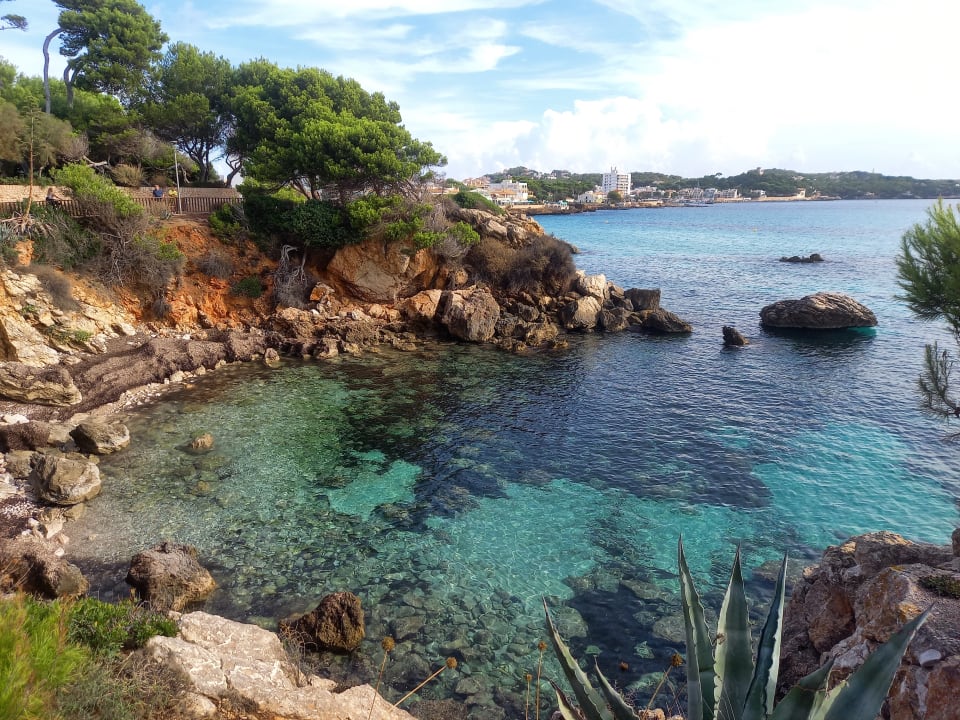Ausblick Iberostar Waves Pinos Park