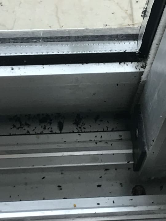 Gastro Salamis Bay Conti Resort Hotel & Casino