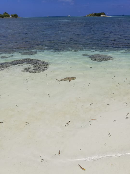 Strand Adaaran Select Hudhuran Fushi - Premium All Inclusive