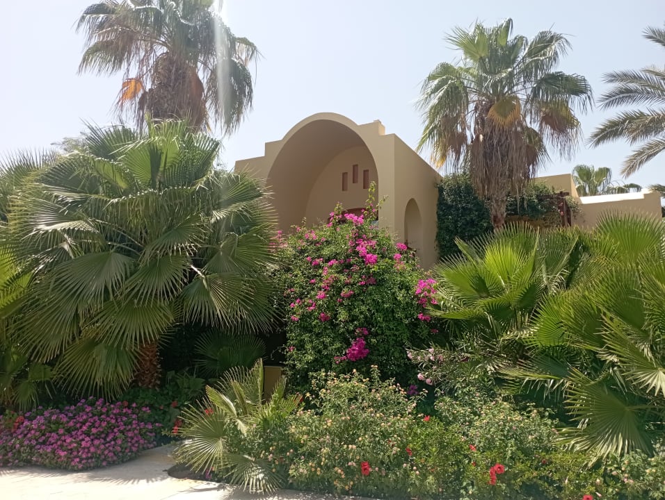 Gartenanlage Steigenberger Coraya Beach - Adults only